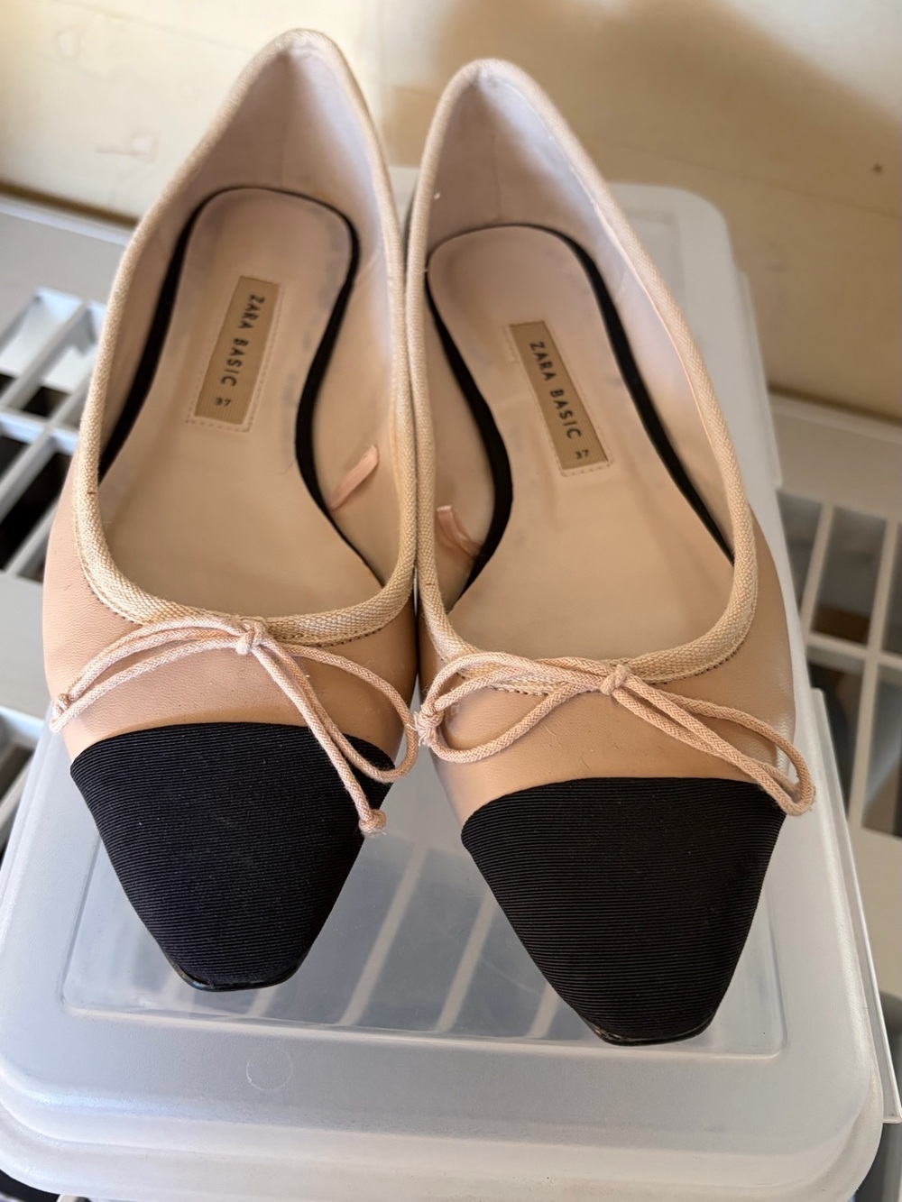Zara Blush and Black Pointed Toe Ballet Flats with Bow